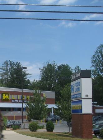 food_lion_brevard_nc.jpg