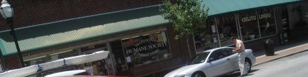 human_society_brevard_nc.jpg