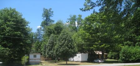 looking_glass_pisgah_drive_4_rentals.jpg